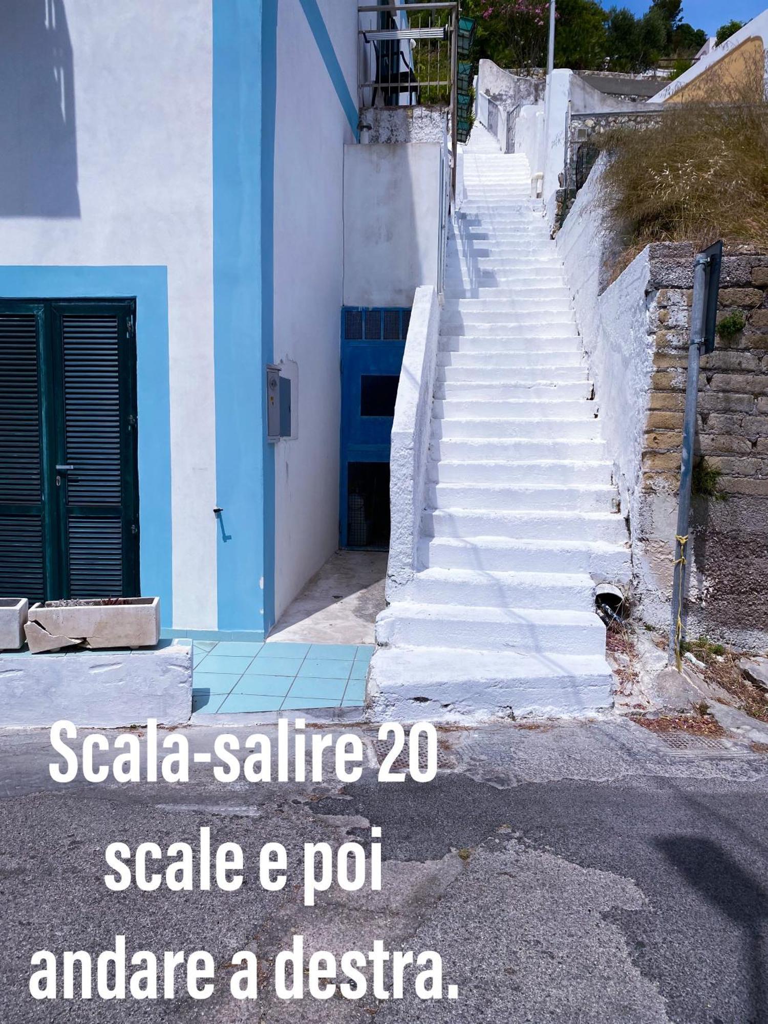 Ponzamania La Terrazza Di Cala Feola Apartment Exterior foto